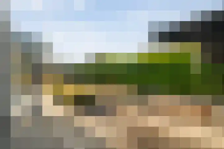 Van Hambroeckmarke 4 Zwolle thumbnail 52