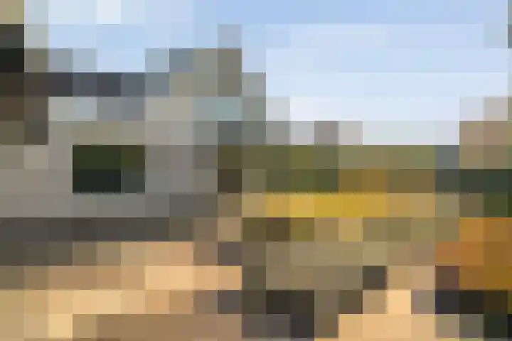 Van Hambroeckmarke 4 Zwolle thumbnail 53