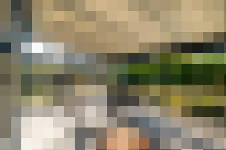 Van Hambroeckmarke 4 Zwolle thumbnail 54