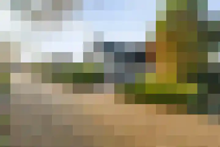 Van Hambroeckmarke 4 Zwolle thumbnail 6