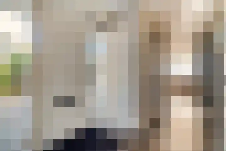Van Hambroeckmarke 4 Zwolle thumbnail 8