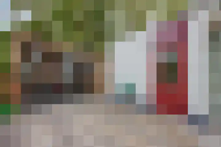 Van Hamelbergweg 2 Blitterswijck thumbnail 37