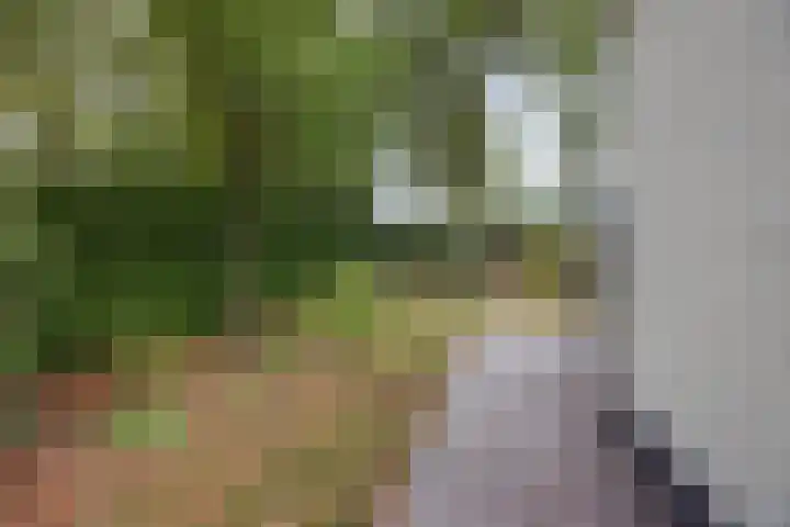 Van Hamelbergweg 2 Blitterswijck thumbnail 42
