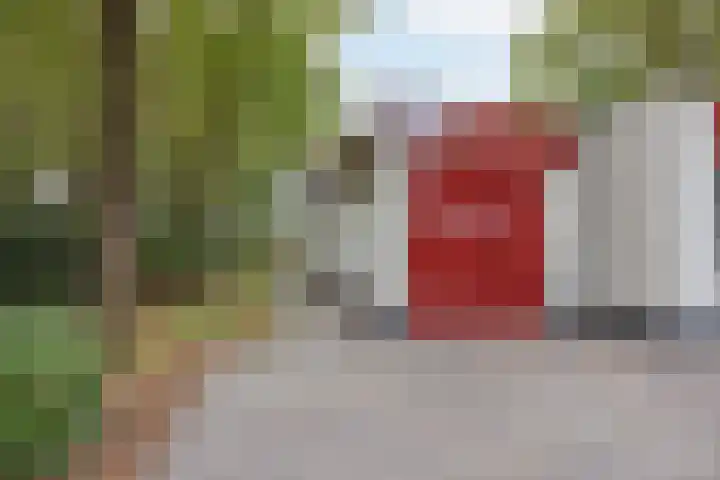 Van Hamelbergweg 2 Blitterswijck thumbnail 47