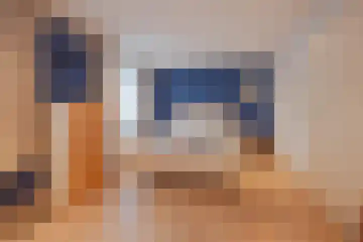 Van Hamelbergweg 2 Blitterswijck thumbnail 6