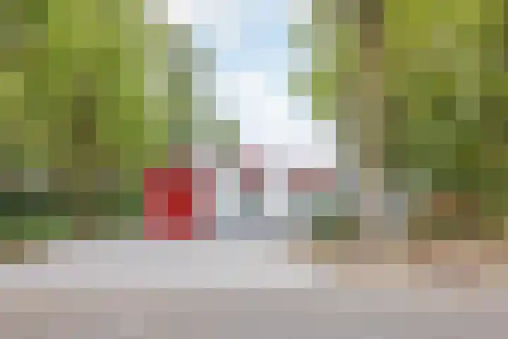 Van Hamelbergweg 2 Blitterswijck thumbnail 7