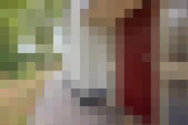 Van Hamelbergweg 2 Blitterswijck thumbnail 8