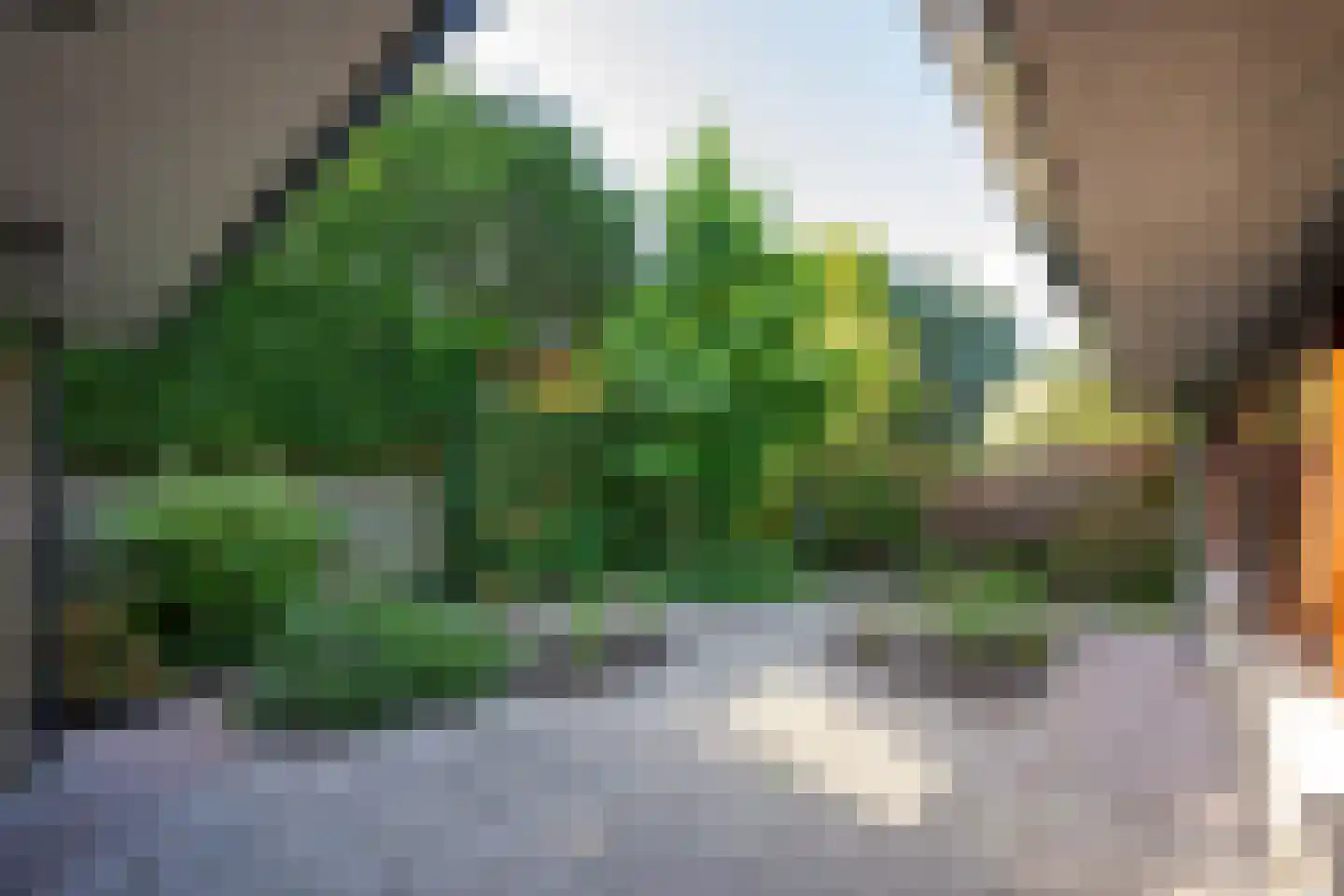 Van Hamellaan 32 Voorschoten thumbnail 10