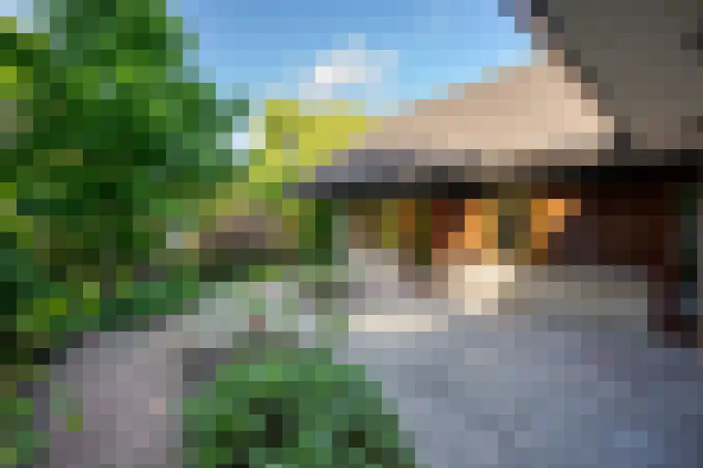 Van Hamellaan 32 Voorschoten thumbnail 11