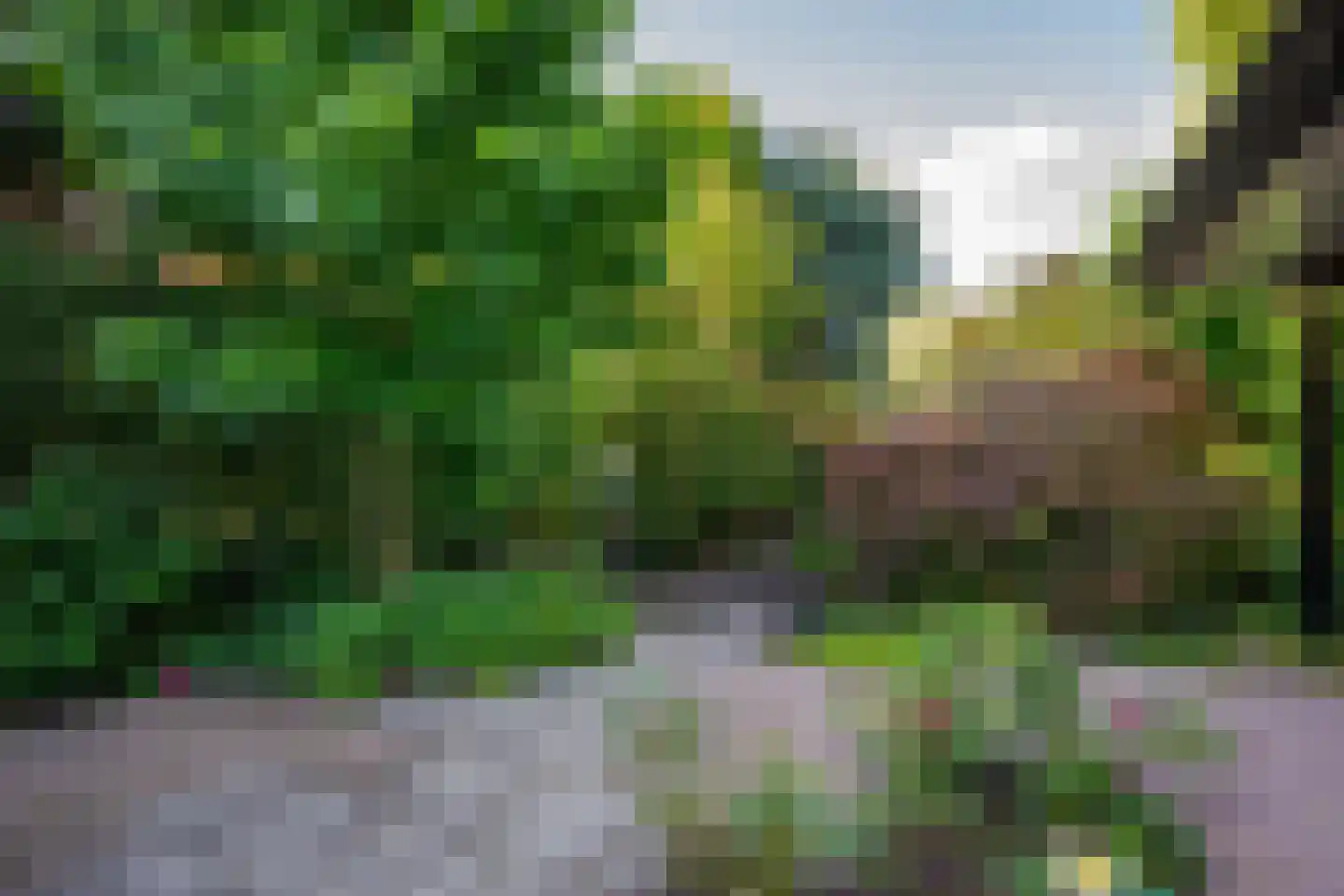 Van Hamellaan 32 Voorschoten thumbnail 12