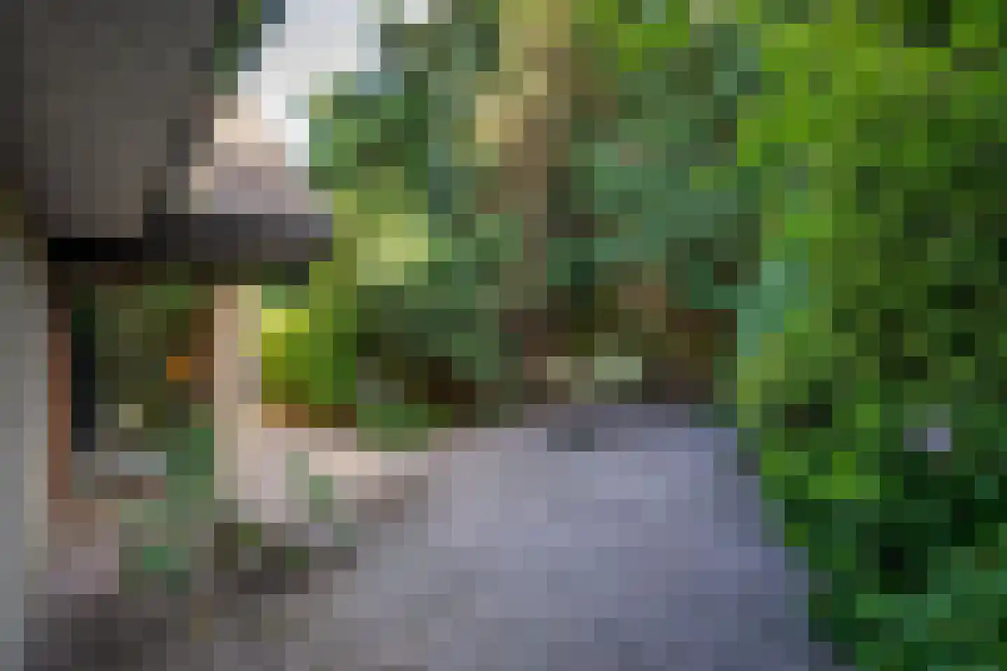 Van Hamellaan 32 Voorschoten thumbnail 14