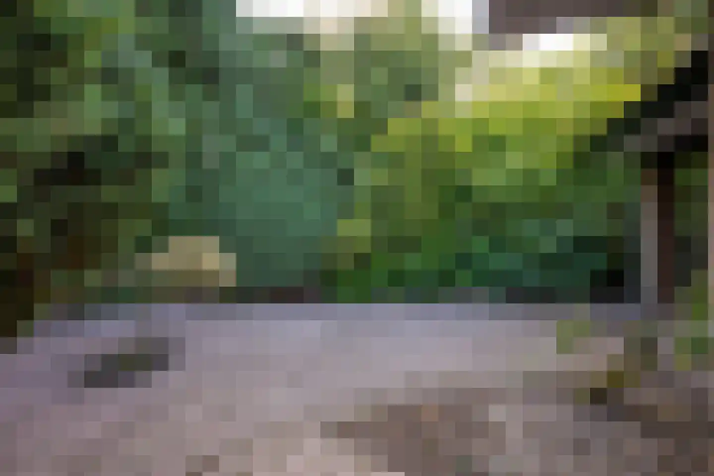 Van Hamellaan 32 Voorschoten thumbnail 16