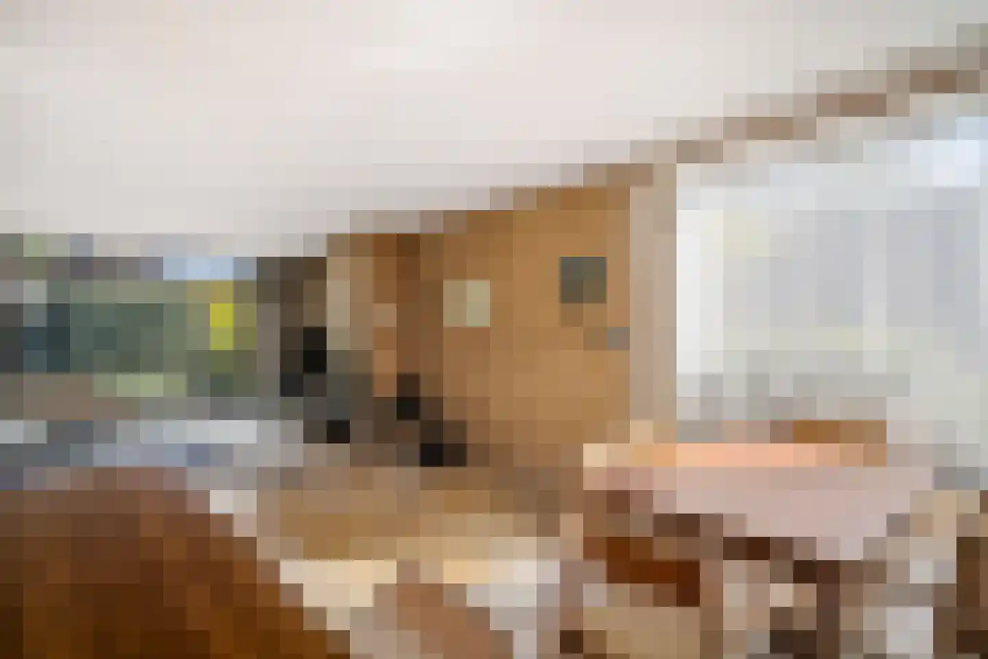 Van Hamellaan 42 Voorschoten thumbnail 31