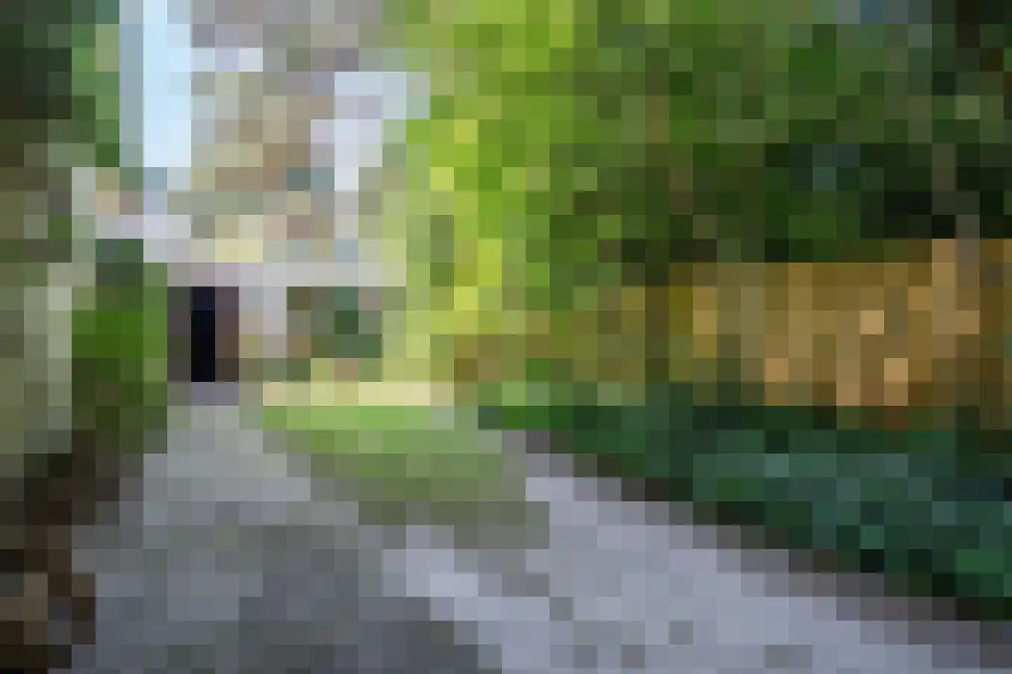 Van Hamellaan 48 Voorschoten thumbnail 16