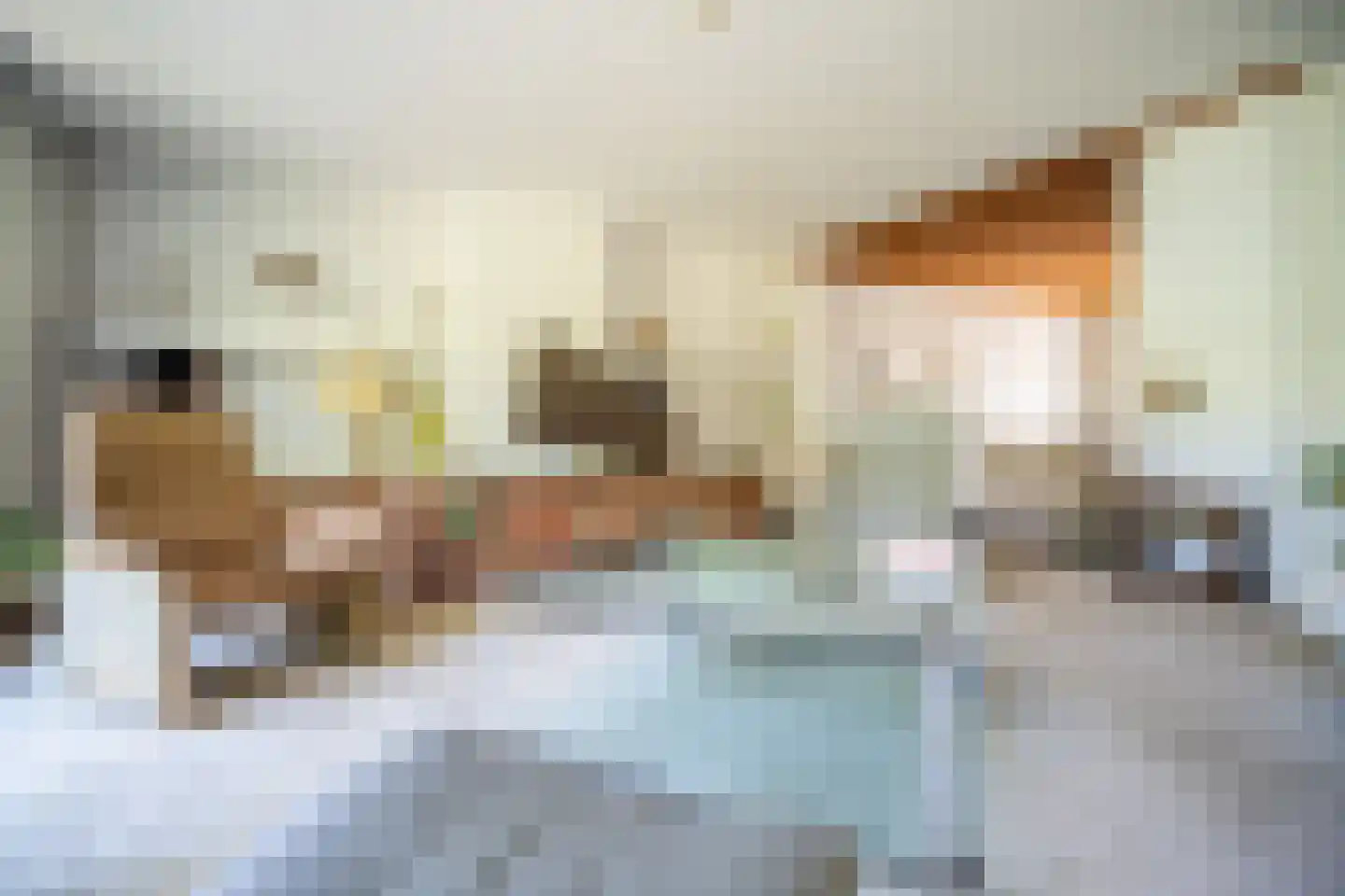 Van Hamellaan 48 Voorschoten thumbnail 21