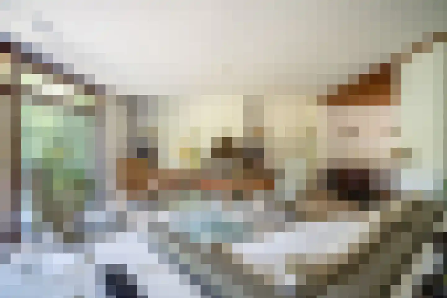 Van Hamellaan 48 Voorschoten thumbnail 7