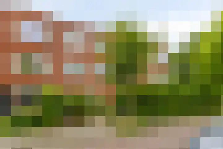 Van Hamelstraat 1 a Groningen thumbnail 4