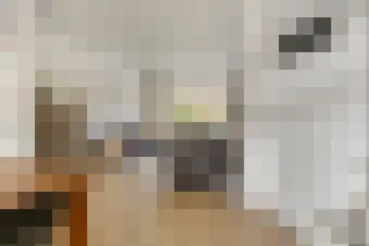 Van Hamelstraat 25 Groningen thumbnail 10