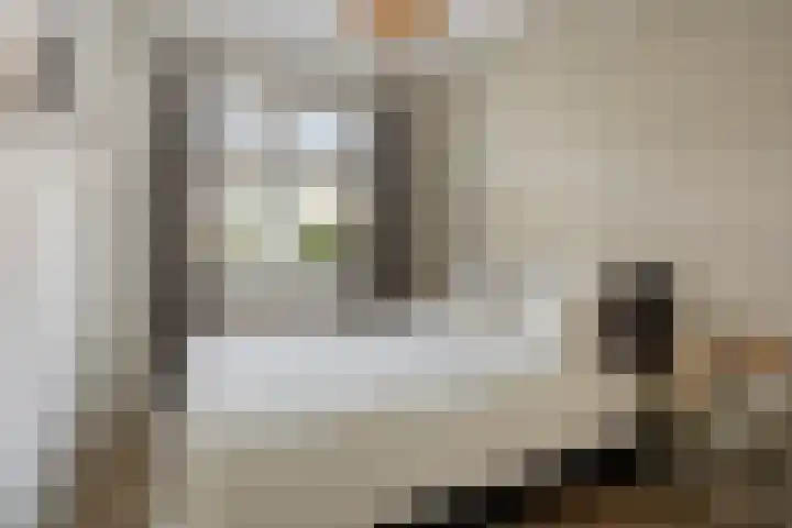 Van Hamelstraat 25 Groningen thumbnail 26