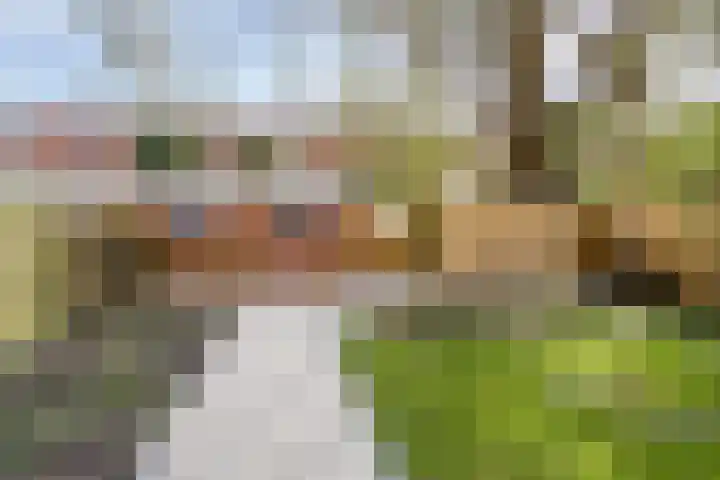 Van Hamelstraat 25 Groningen thumbnail 36