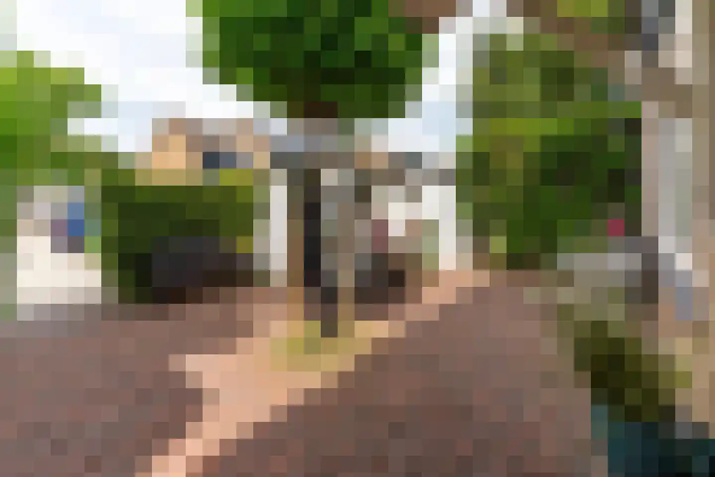 van Hamelstraat 25 Soest thumbnail 37