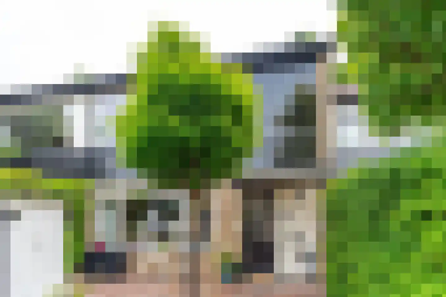 van Hamelstraat 25 Soest thumbnail 43