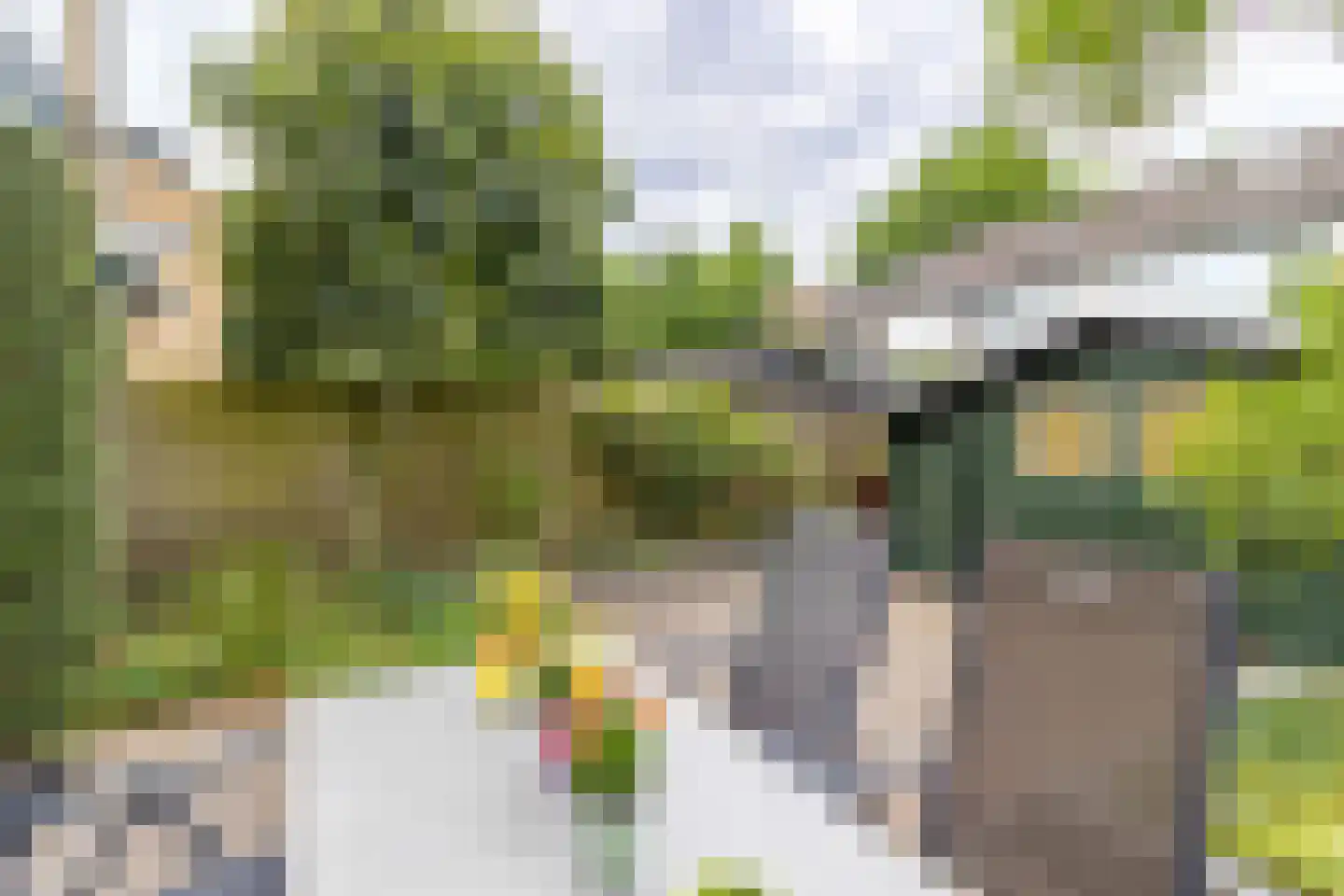 van Hamelstraat 39 Soest thumbnail 25