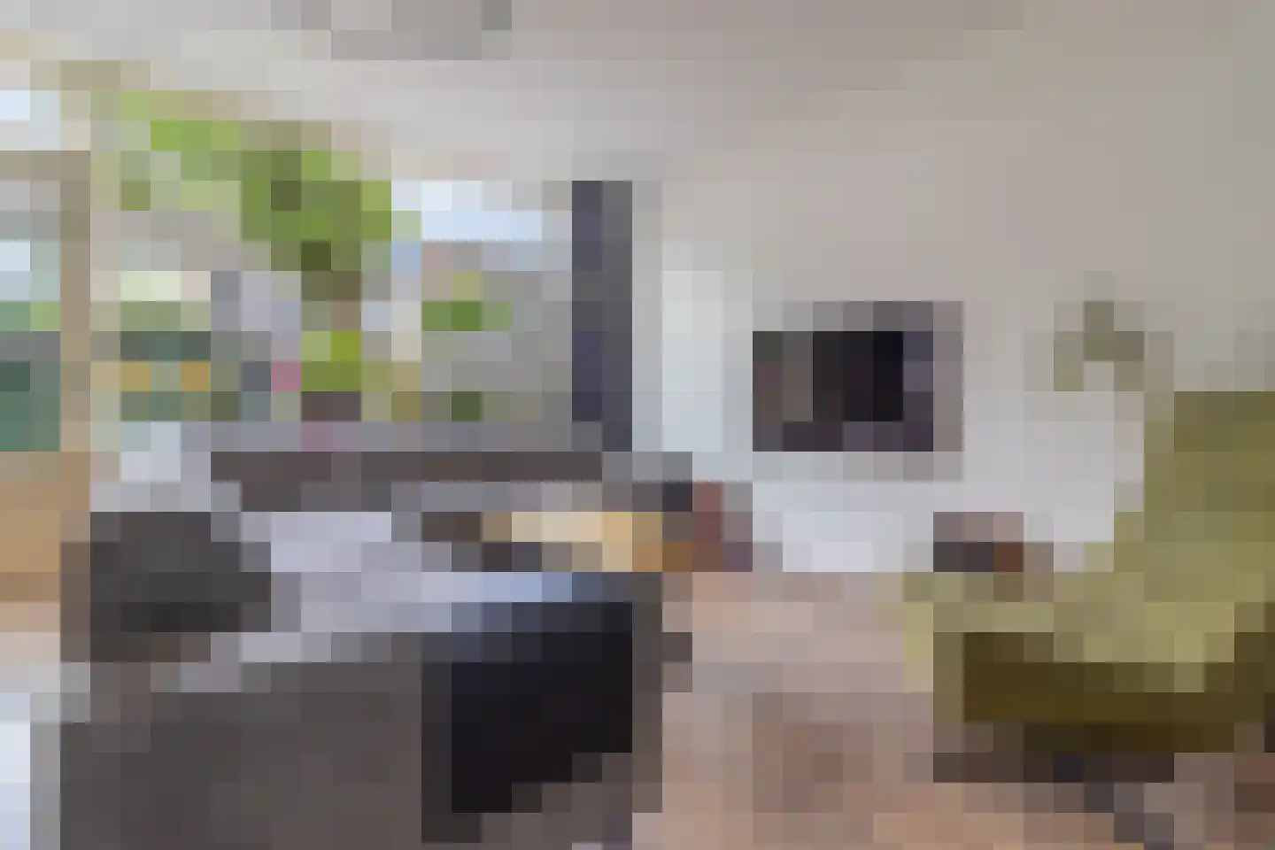 van Hamelstraat 39 Soest thumbnail 5