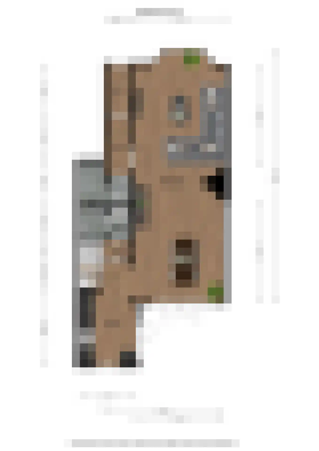 Van Hamelstraat 6 Groningen thumbnail 44