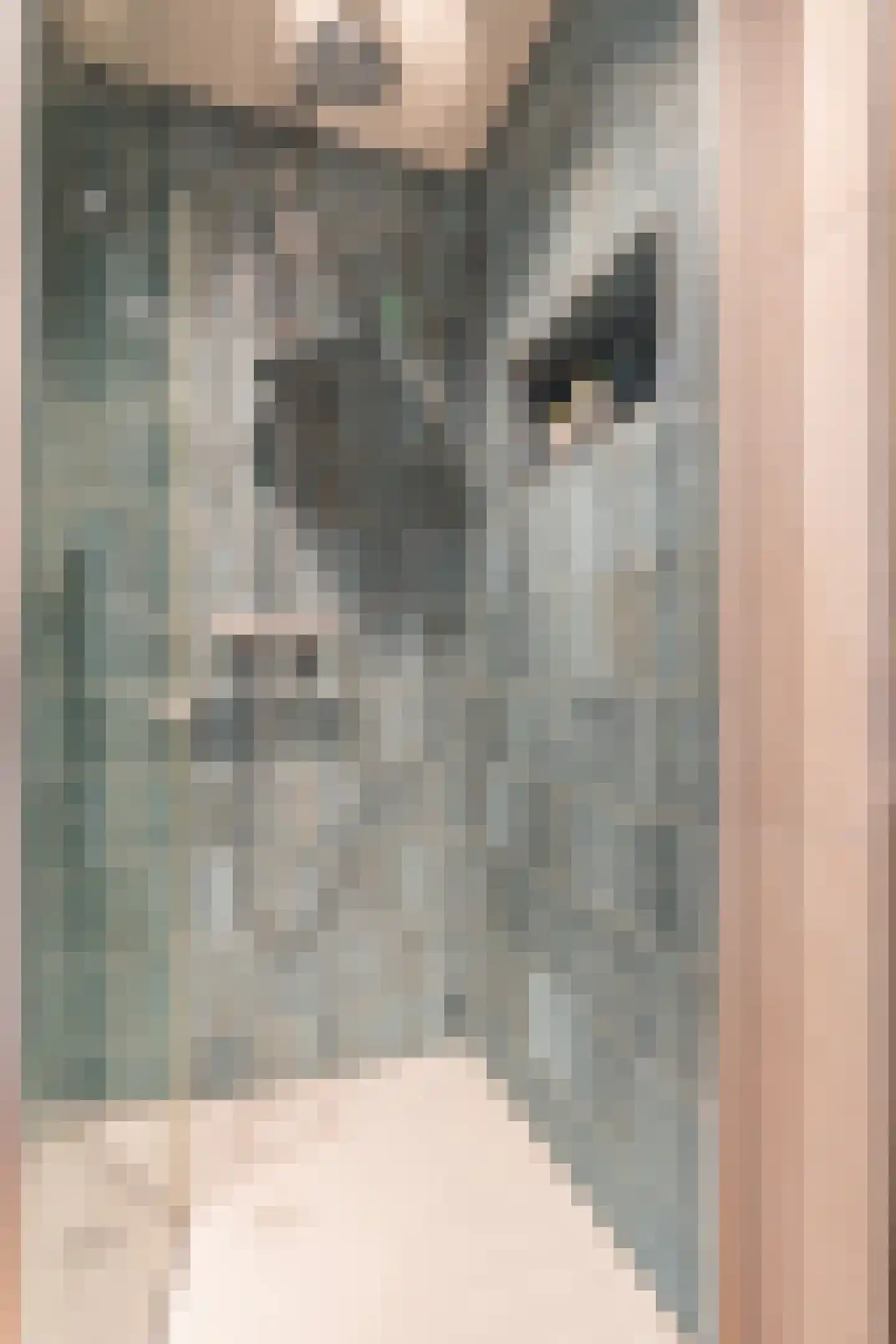 Van Hamelstraat 6 Groningen thumbnail 5
