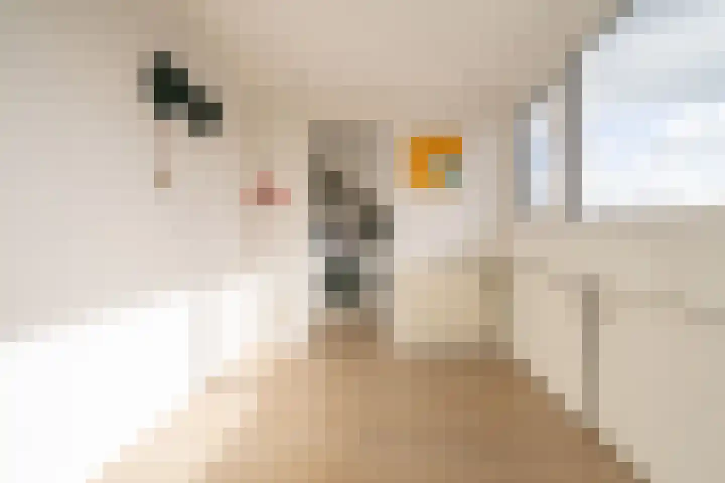 van Hamelstraat 74 Soest thumbnail 30