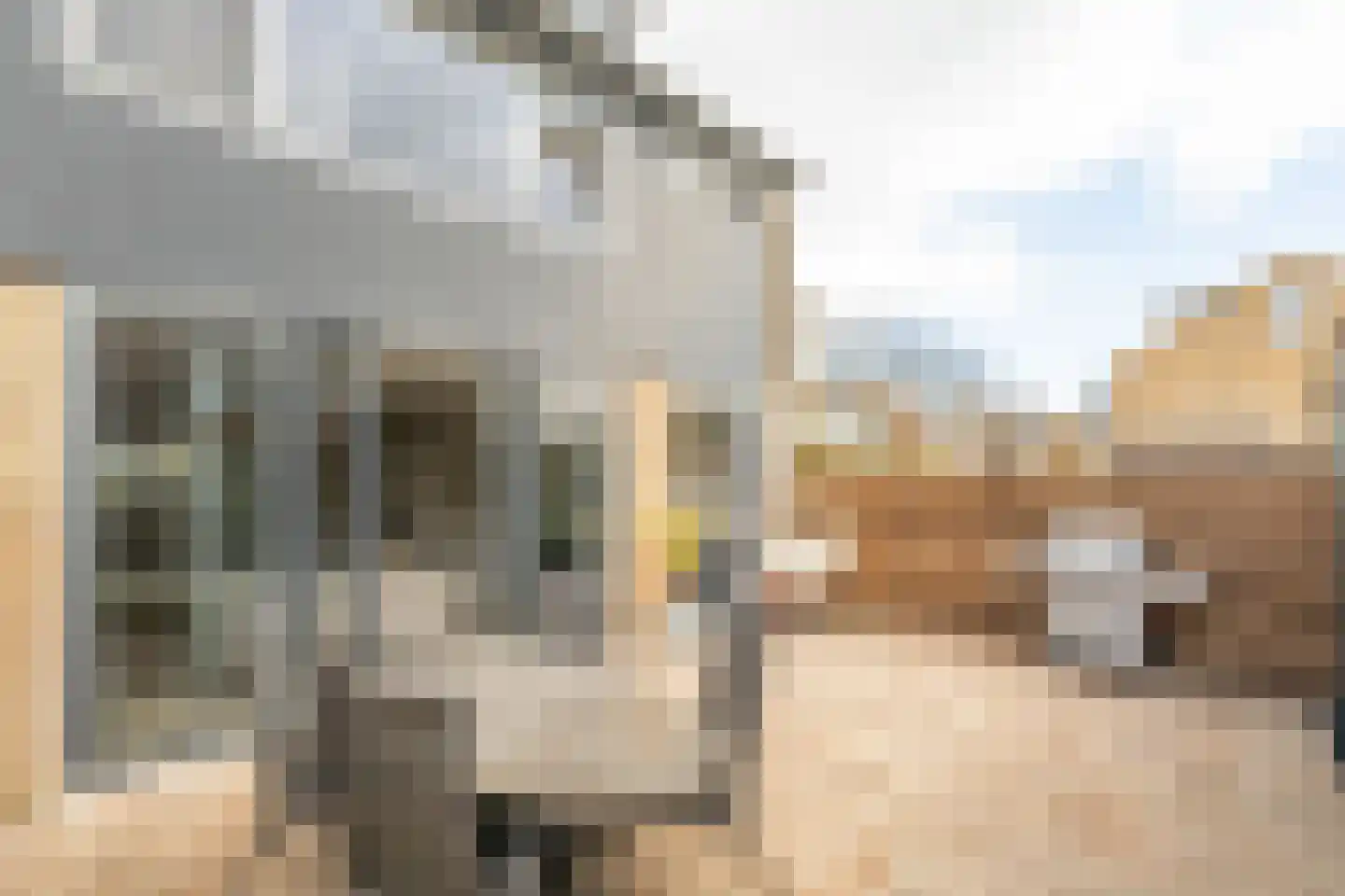 van Hamelstraat 74 Soest thumbnail 32