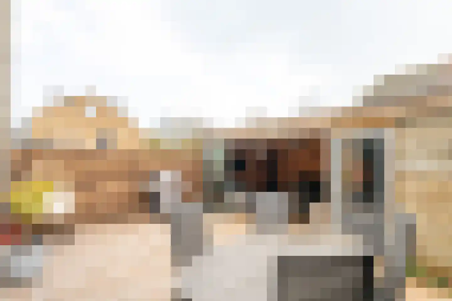 van Hamelstraat 74 Soest thumbnail 34