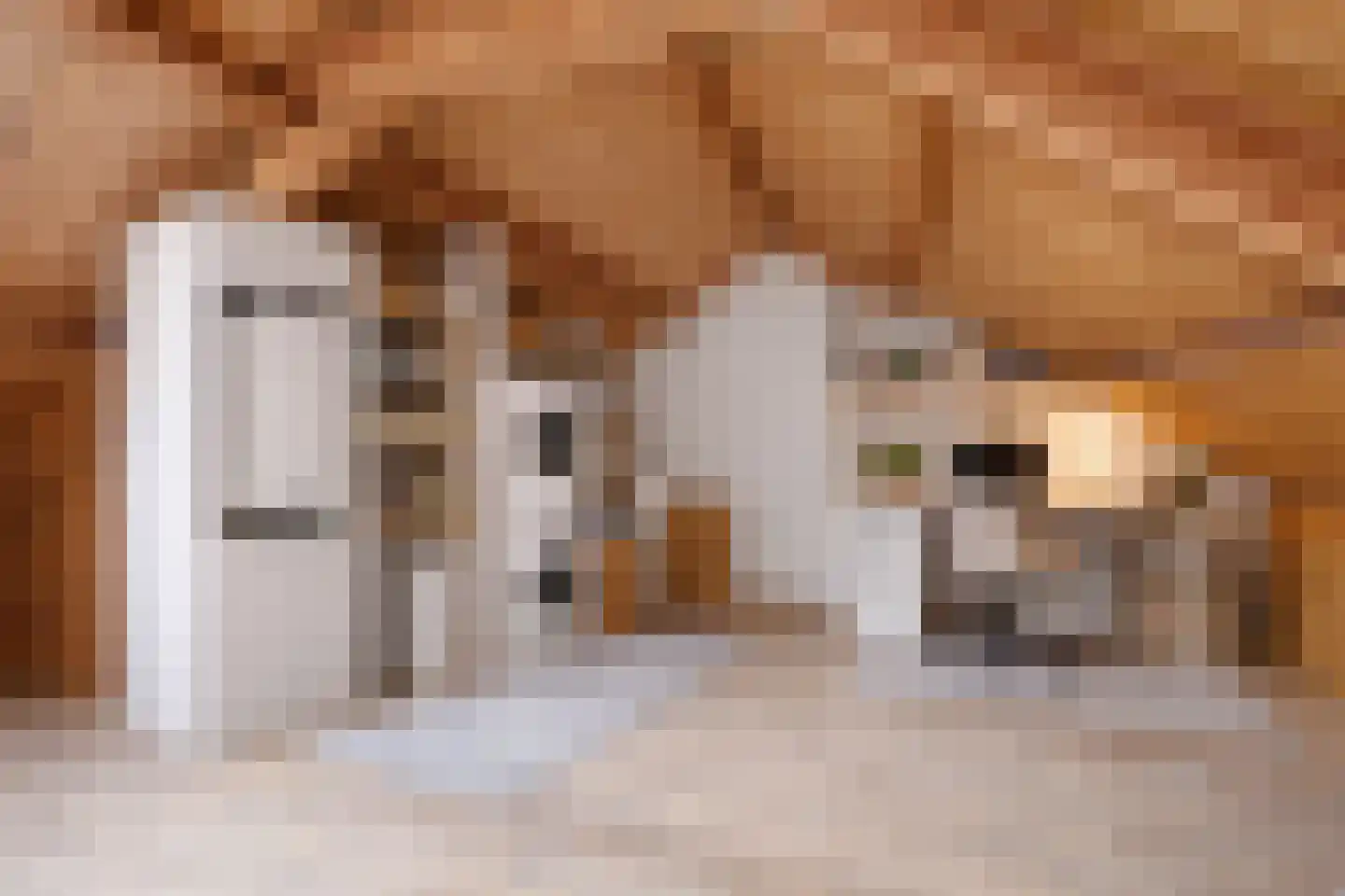 Van Hanswijkstraat 3 Vught thumbnail 30