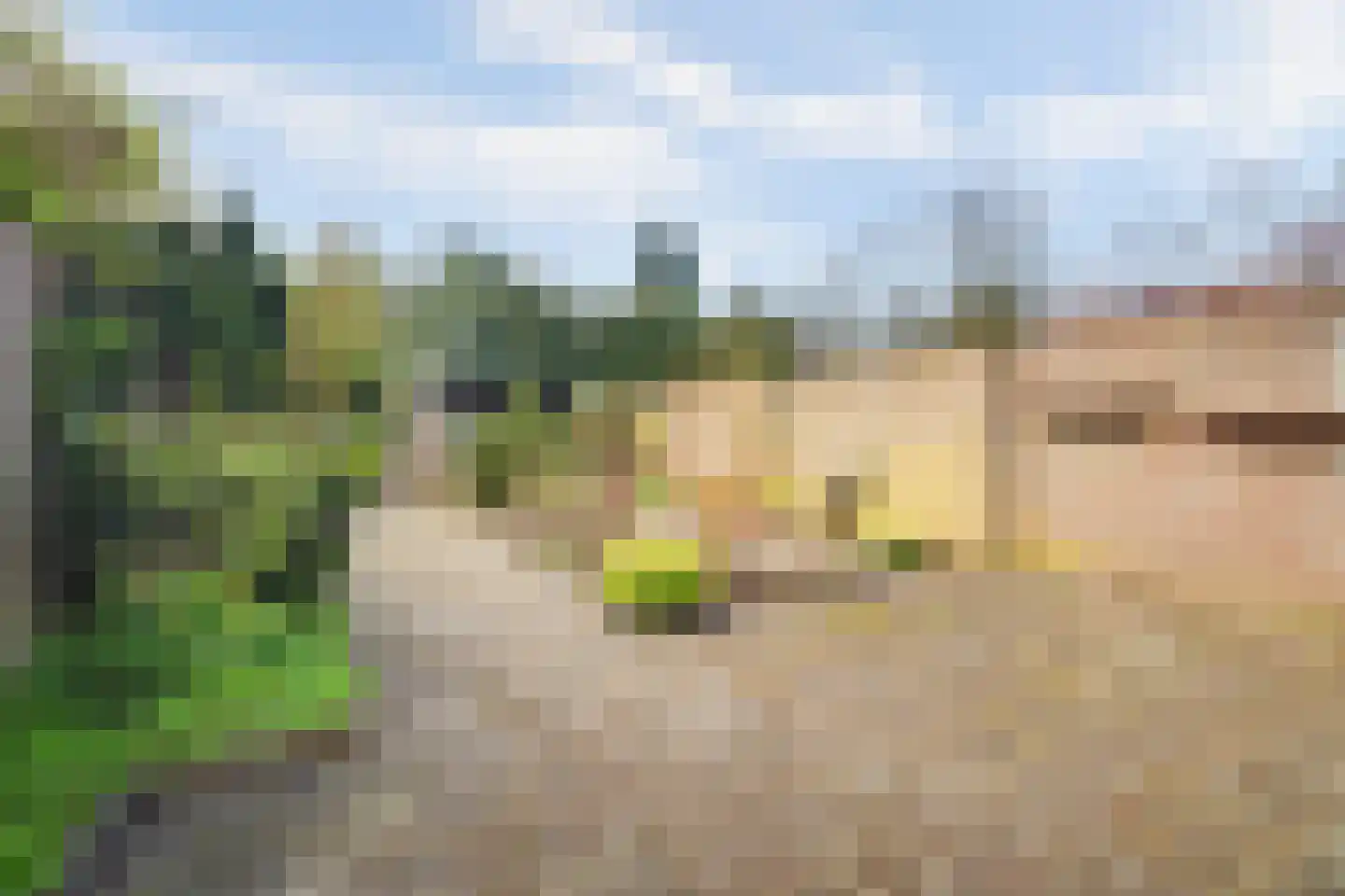 Van Hanswijkstraat 3 Vught thumbnail 36