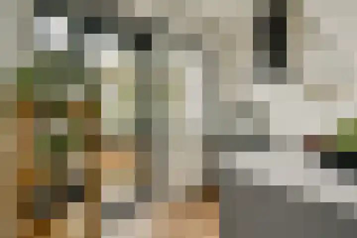 Van Hanxleden Houwertstraat 39 3 Amsterdam thumbnail 10