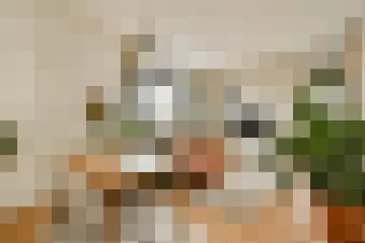 Van Hanxleden Houwertstraat 39 3 Amsterdam thumbnail 5