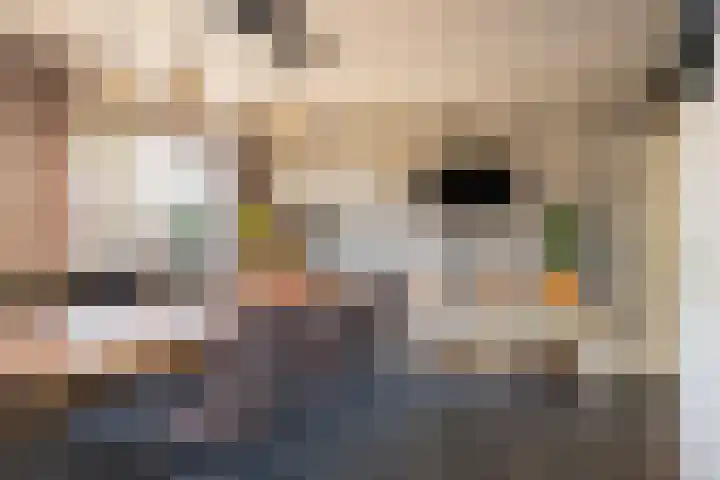 van Hanxledenstraat 21 Ootmarsum thumbnail 15