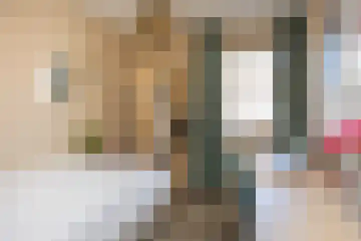 van Hanxledenstraat 21 Ootmarsum thumbnail 20