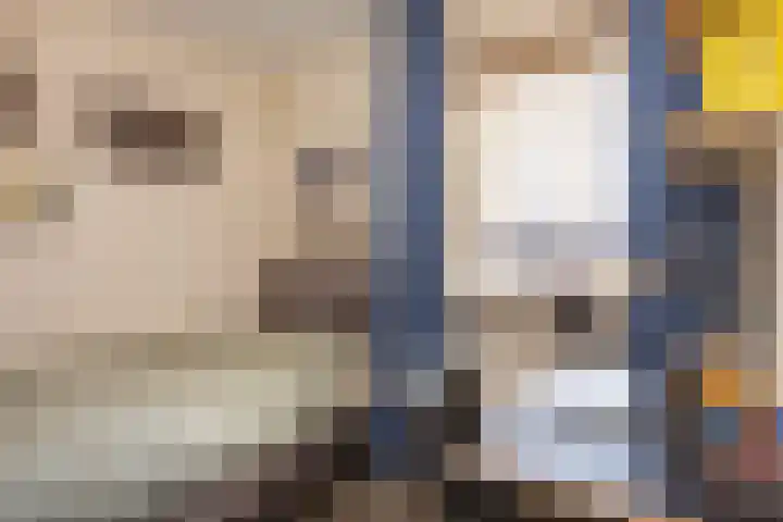 van Hanxledenstraat 21 Ootmarsum thumbnail 21
