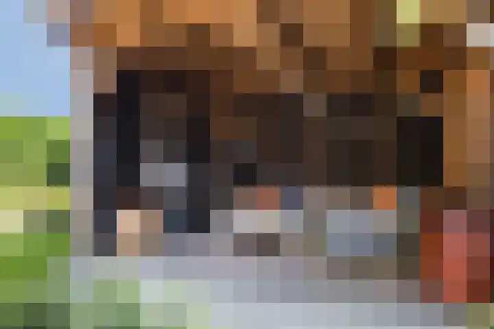 van Hanxledenstraat 21 Ootmarsum thumbnail 26