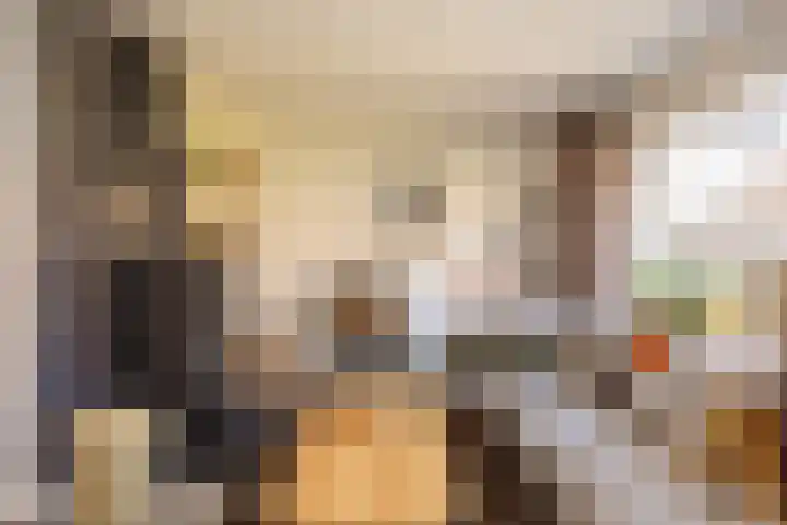 van Hanxledenstraat 21 Ootmarsum thumbnail 6