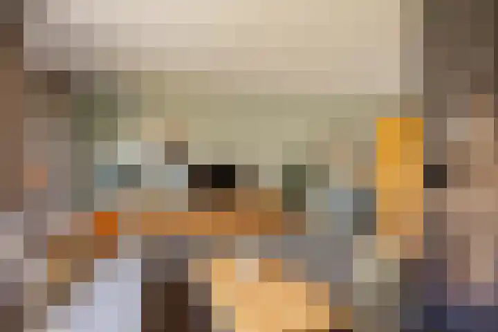 van Hanxledenstraat 21 Ootmarsum thumbnail 8