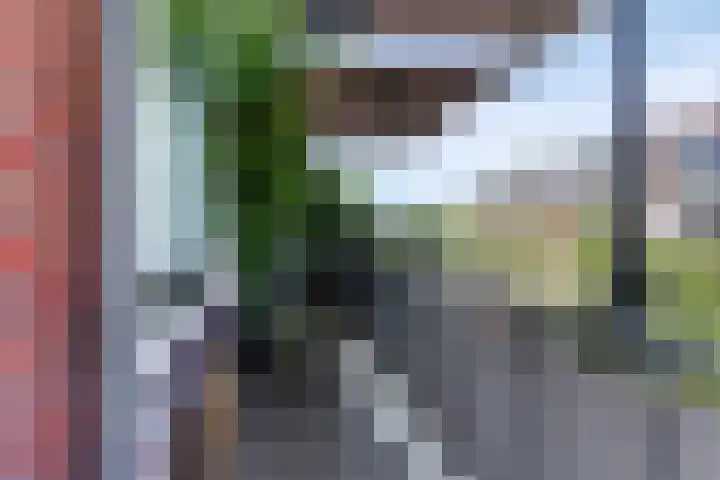 van Hardenbroeklaan 19 Rijswijk thumbnail 13