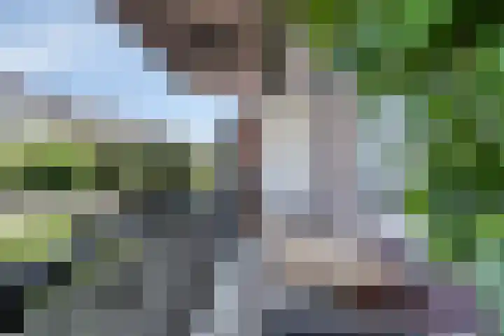van Hardenbroeklaan 19 Rijswijk thumbnail 14