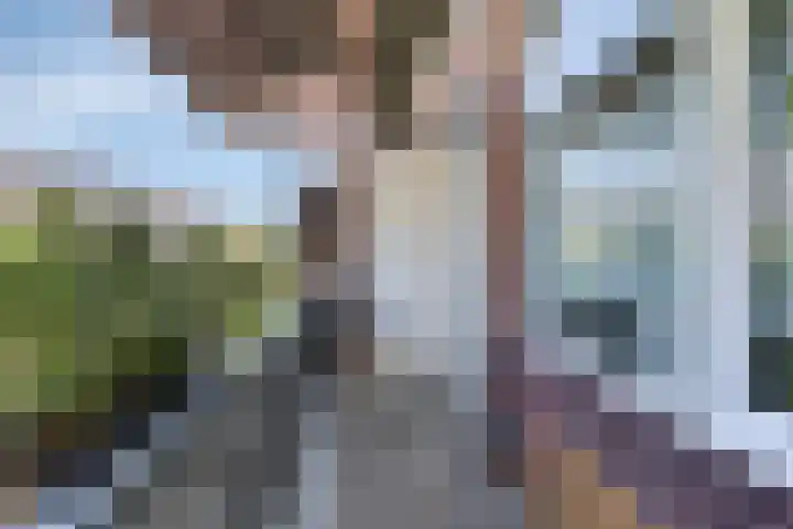 van Hardenbroeklaan 19 Rijswijk thumbnail 15
