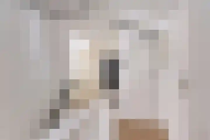 van Hardenbroeklaan 19 Rijswijk thumbnail 20