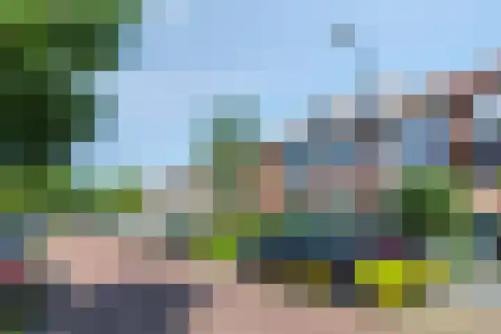 van Hardenbroeklaan 19 Rijswijk thumbnail 29