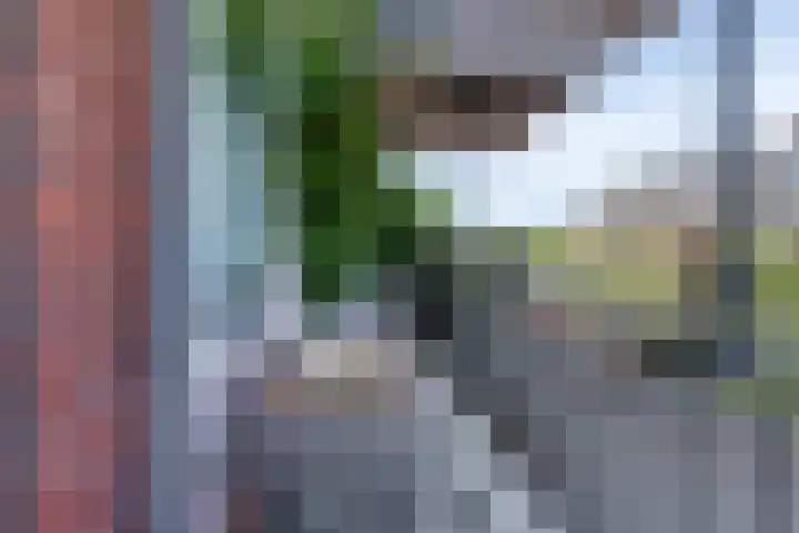 van Hardenbroeklaan 19 Rijswijk thumbnail 4