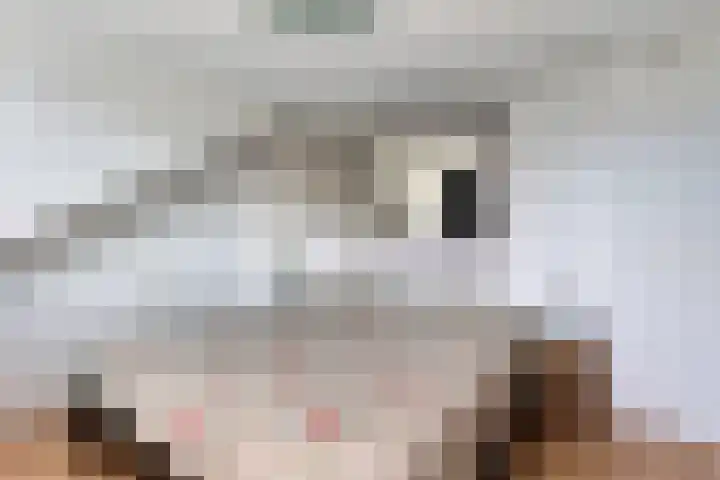 van Hardenbroeklaan 19 Rijswijk thumbnail 5
